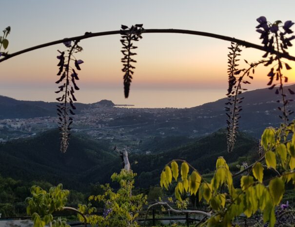 Casale In Vigna - Casa Glicine