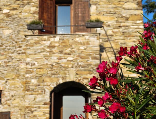 Verde Salvia loft - Casale in Vigna
