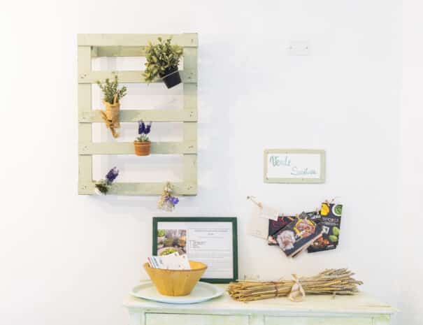 Salvia Loft