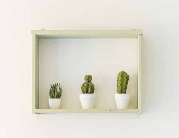 Salvia Loft