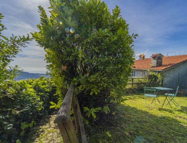Sogno house garden
