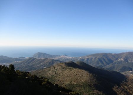 monte treggin